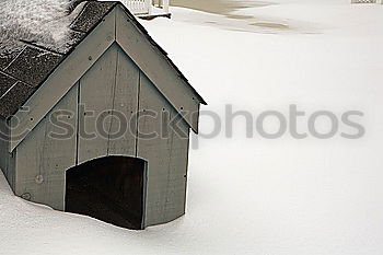 Similar – Dachfenster Fenster Winter