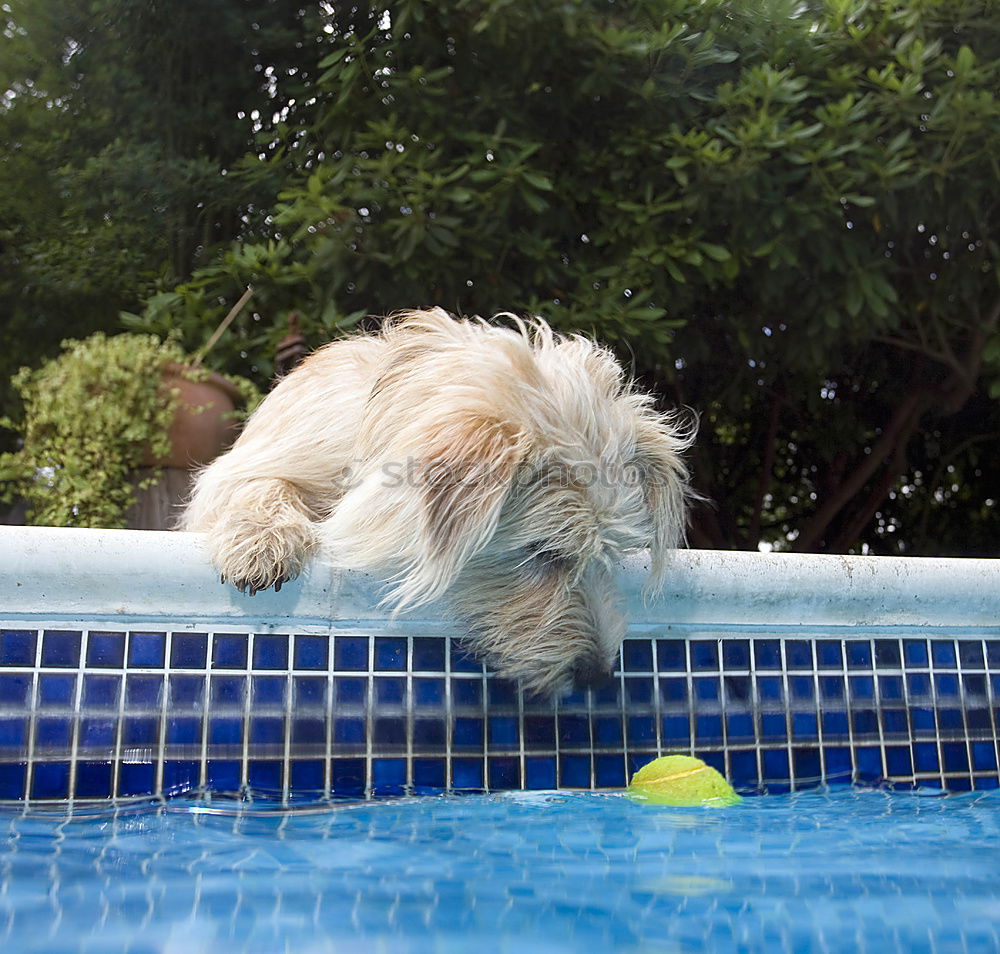 Similar – Life jacket testing.