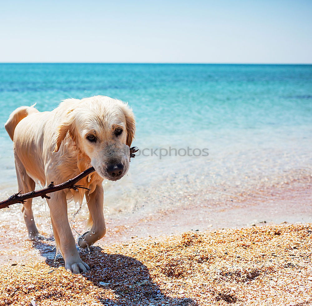 Similar – Image, Stock Photo shadow cast Far-off places