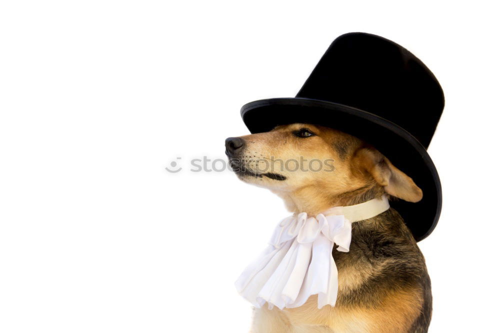 Similar – Image, Stock Photo Say What? Fashion Clothing