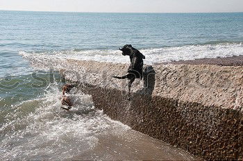 Similar – children at malecon Cuba