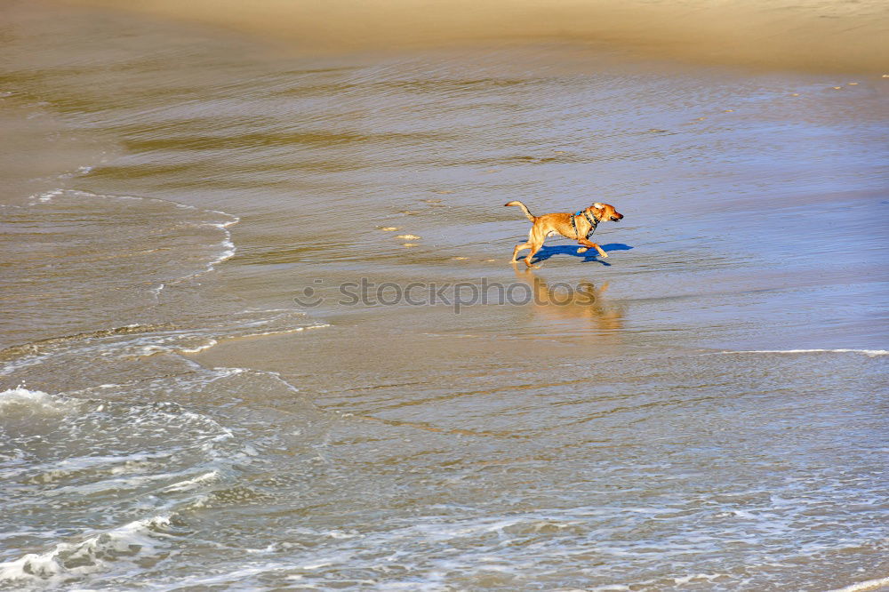 Similar – Foto Bild wechselwirkung Strand