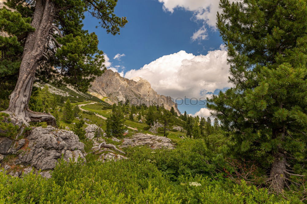 Similar – Image, Stock Photo Yosemite NP Wellness