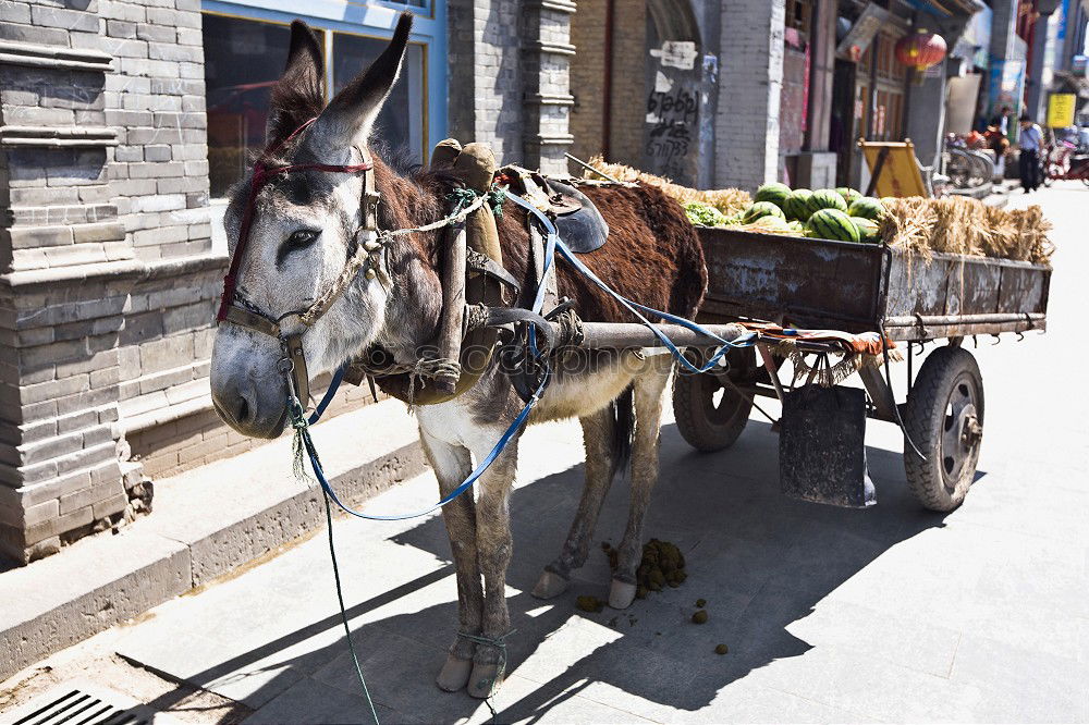 Similar – Image, Stock Photo Street scene 1 Transport