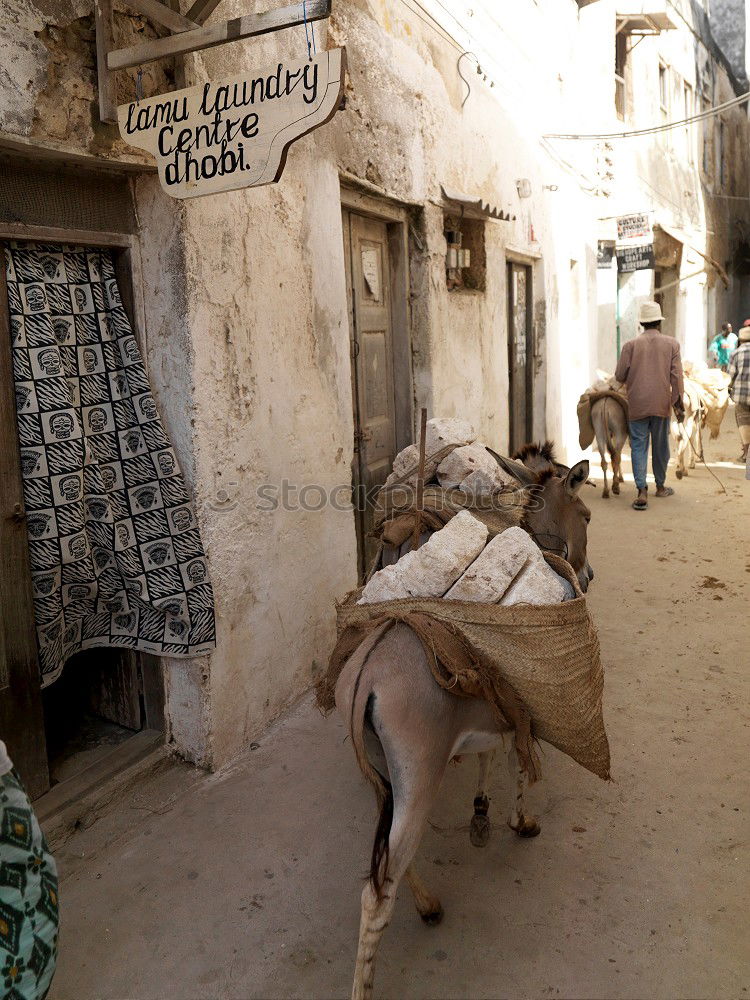 Similar – Gerber quarter in Fès