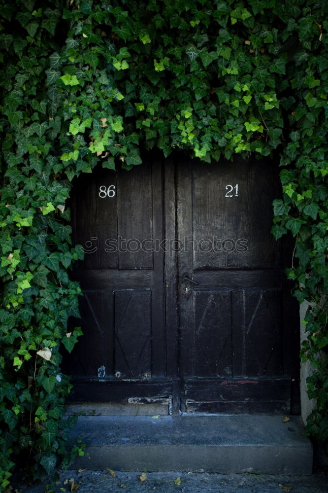 Similar – Where do you think this door leads to???