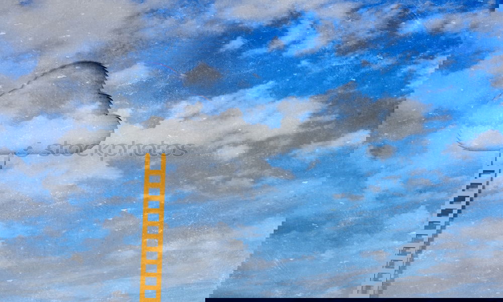 Similar – Image, Stock Photo #AS# Cookie Rain, Cooookie Raaain