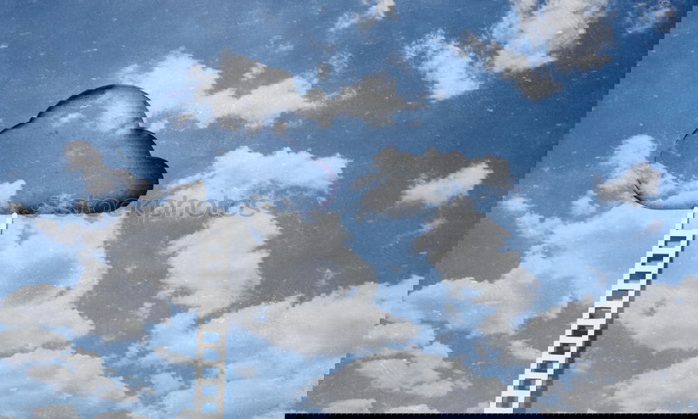 Similar – Image, Stock Photo #AS# Cookie Rain, Cooookie Raaain