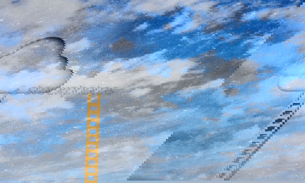 Similar – Image, Stock Photo #AS# Cookie Rain, Cooookie Raaain
