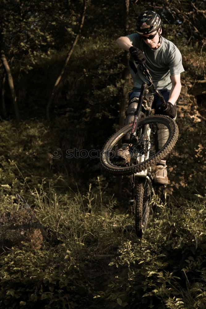 Similar – downhill speed Sport