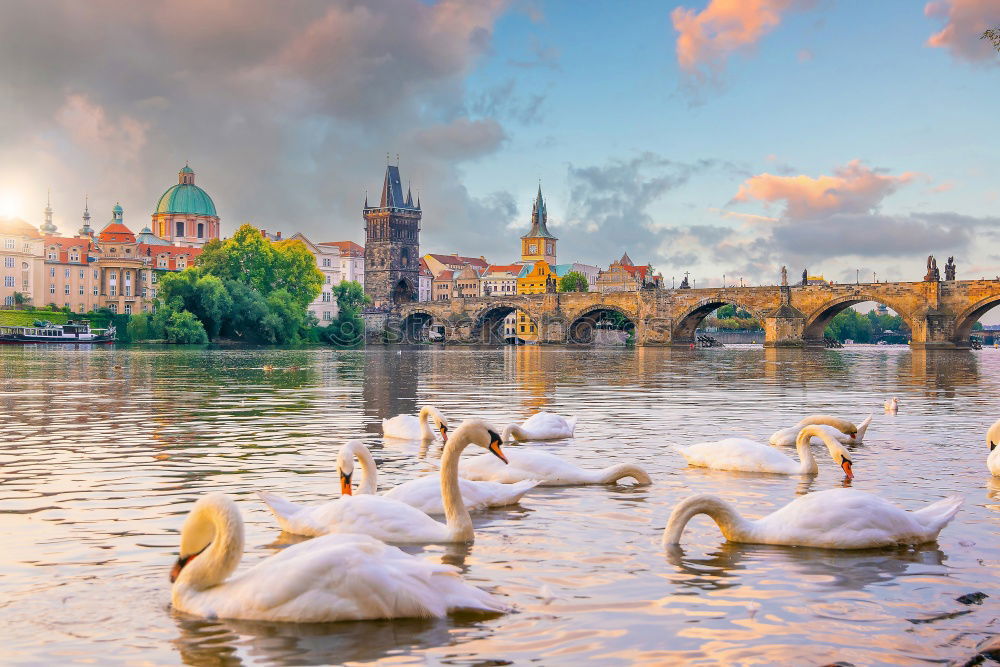 Similar – Prague city and Vltava river at sunset