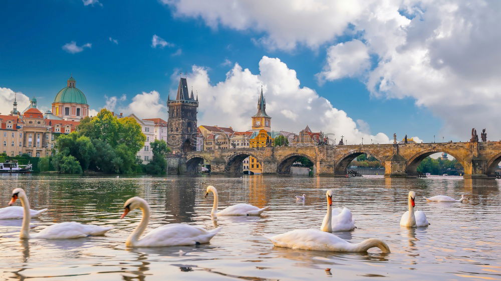 Similar – Prague city and Vltava river at sunset