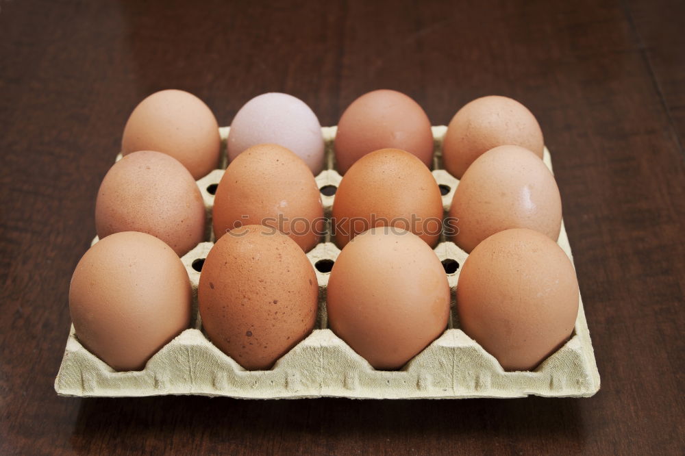 Similar – Image, Stock Photo Egg Egg Egg Egg Egg Egg Egg Egg Egg Egg Egg Egg Egg Egg Egg