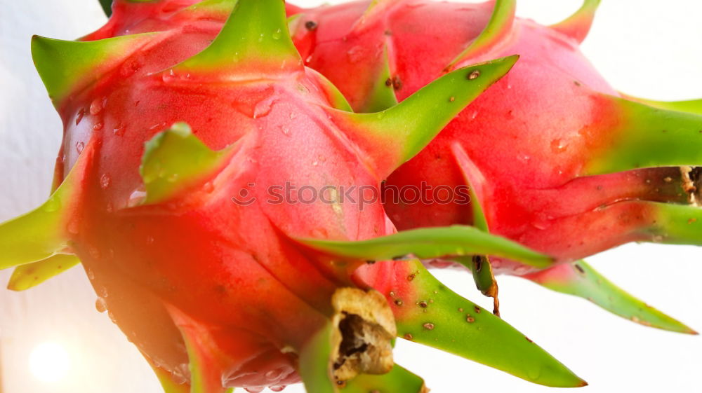 Image, Stock Photo Look how the poppy shines!