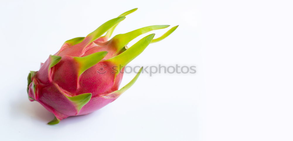 Similar – Pink Tulips On Turquoise Wood Table