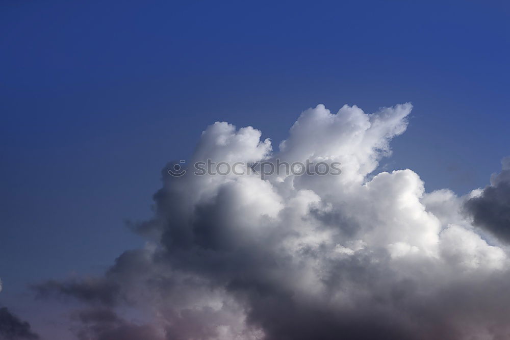 Similar – Foto Bild sandy cloud Natur Sand