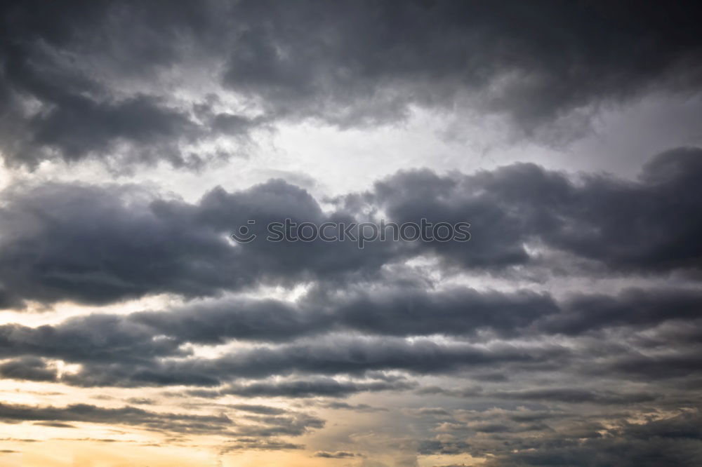 Similar – Image, Stock Photo rainman Umbrella Twilight