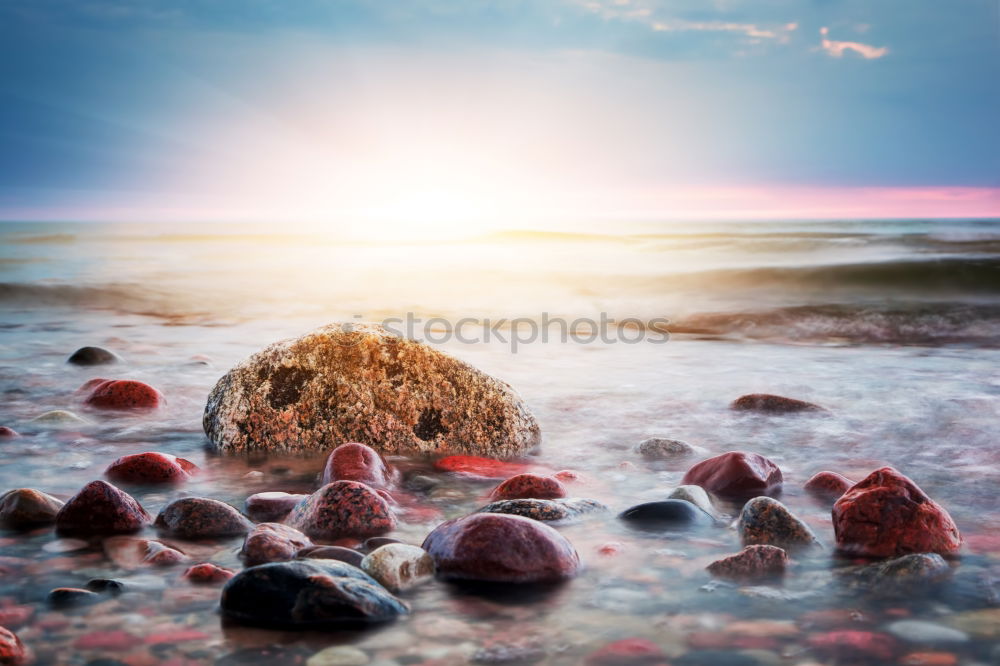 Similar – Swan stone at the Baltic Sea coast