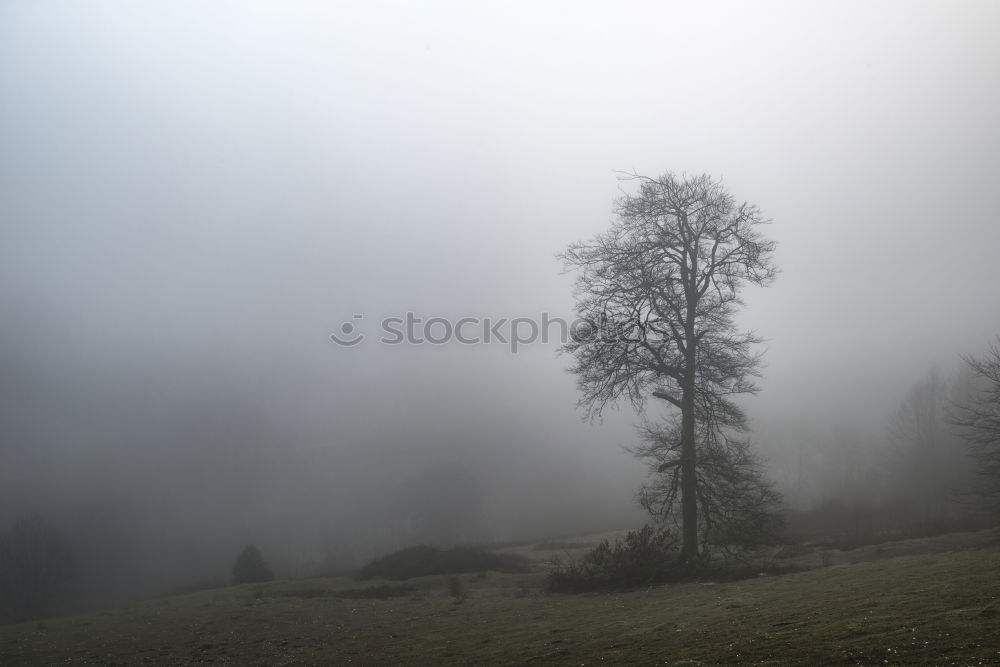 Similar – Foto Bild trübe Aussichten Umwelt