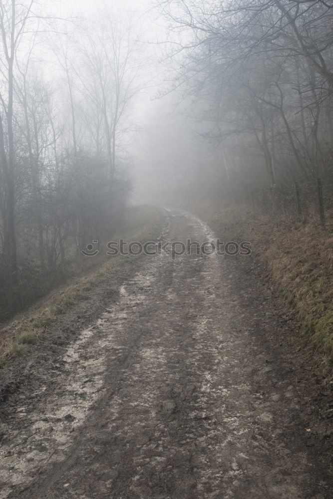 Similar – Image, Stock Photo Lonely walker Lifestyle