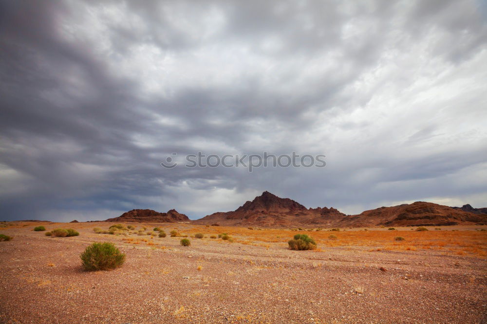 Similar – Joshua Tree National Park