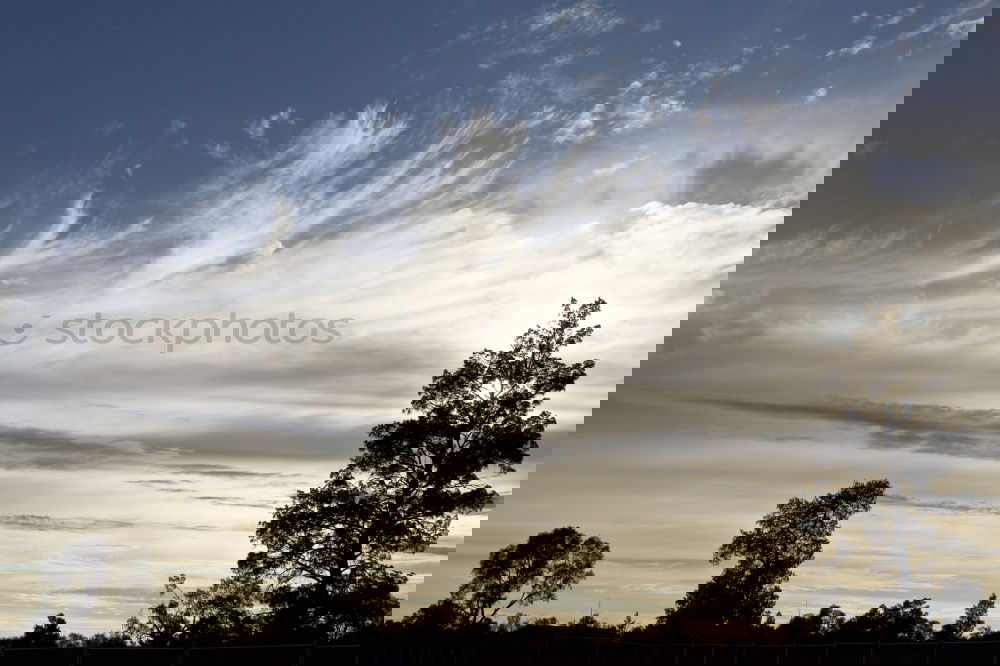 Similar – Image, Stock Photo Sky over Seyda Environment