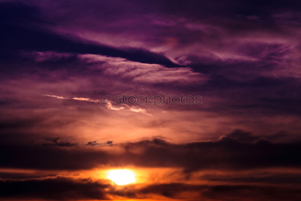 Similar – canopy Sunset Tree