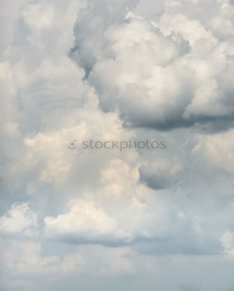 Similar – Image, Stock Photo green lung Environment