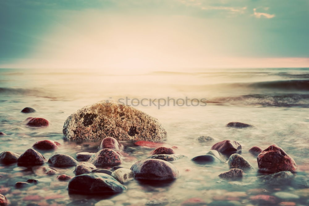 Similar – Image, Stock Photo Mussel on the beach Beach