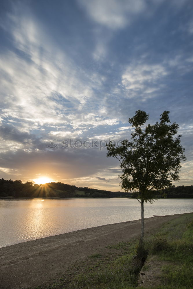 Similar – Image, Stock Photo from the other bank Grass