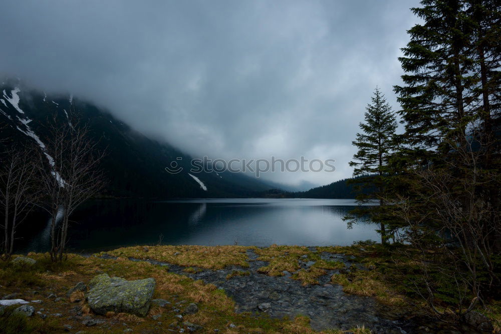 Similar – Image, Stock Photo rain drops Rain Reflection