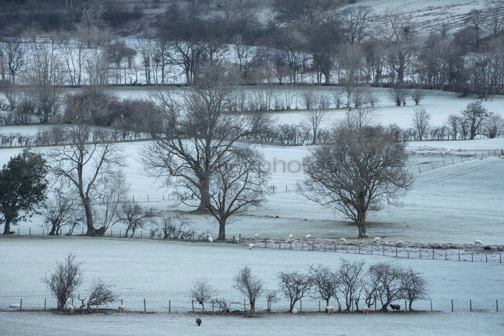 Similar – Winterdorf Umwelt Natur