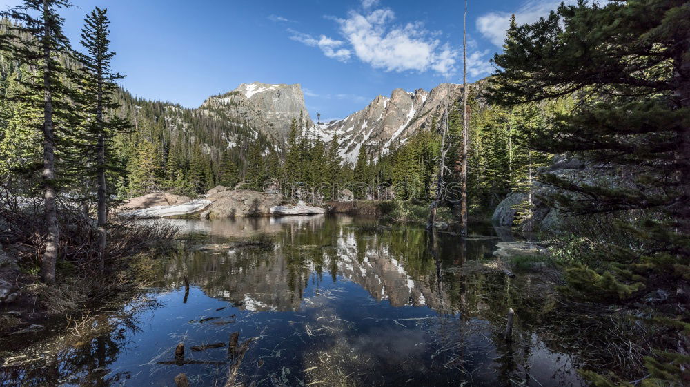 Similar – Foto Bild Yosemite II See Baum grün