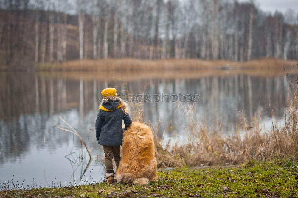 Similar – Dog Dalmatian sits with man master at the lake