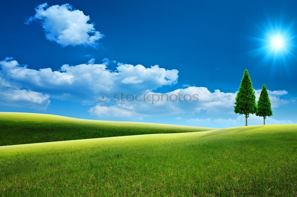 Similar – Image, Stock Photo My friend the tree III