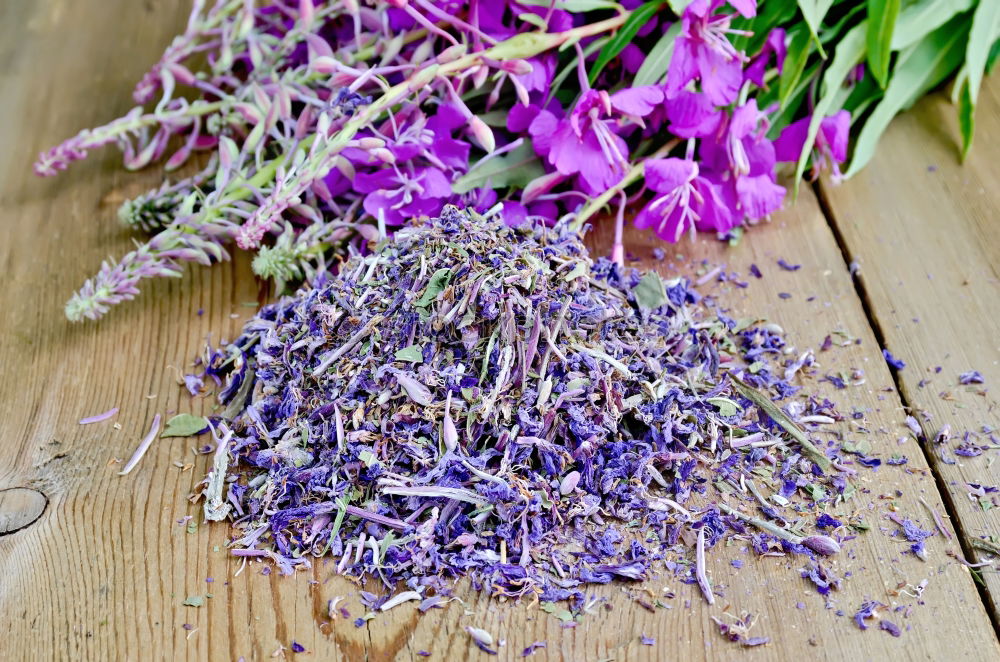 Similar – Aromatherapy, wellness and spa with lilac flowers