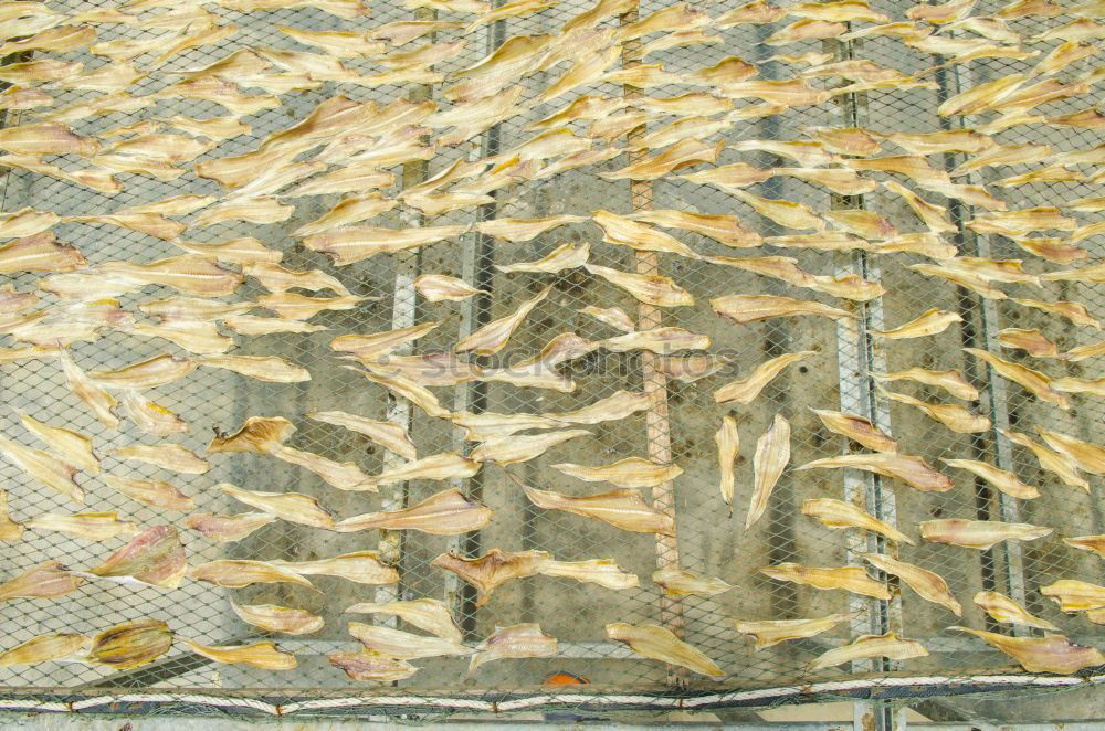 Similar – Image, Stock Photo í öllum veðrum