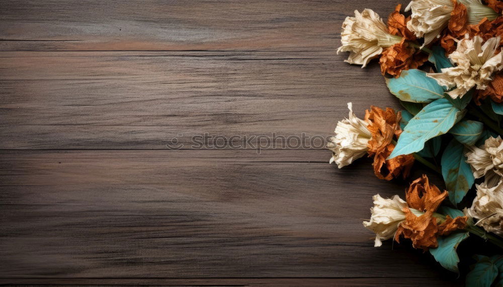 Similar – Bouquet of white flowers on stand