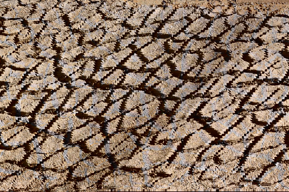 Similar – Image, Stock Photo Dry yellow soil in the desert