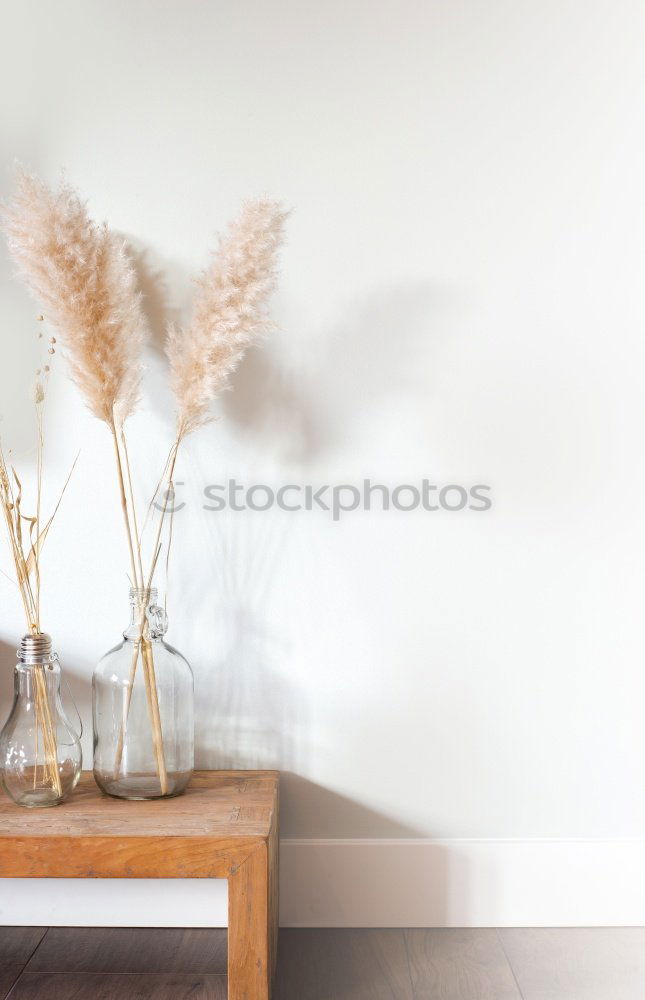 Similar – Image, Stock Photo Home_13 Lifestyle Style