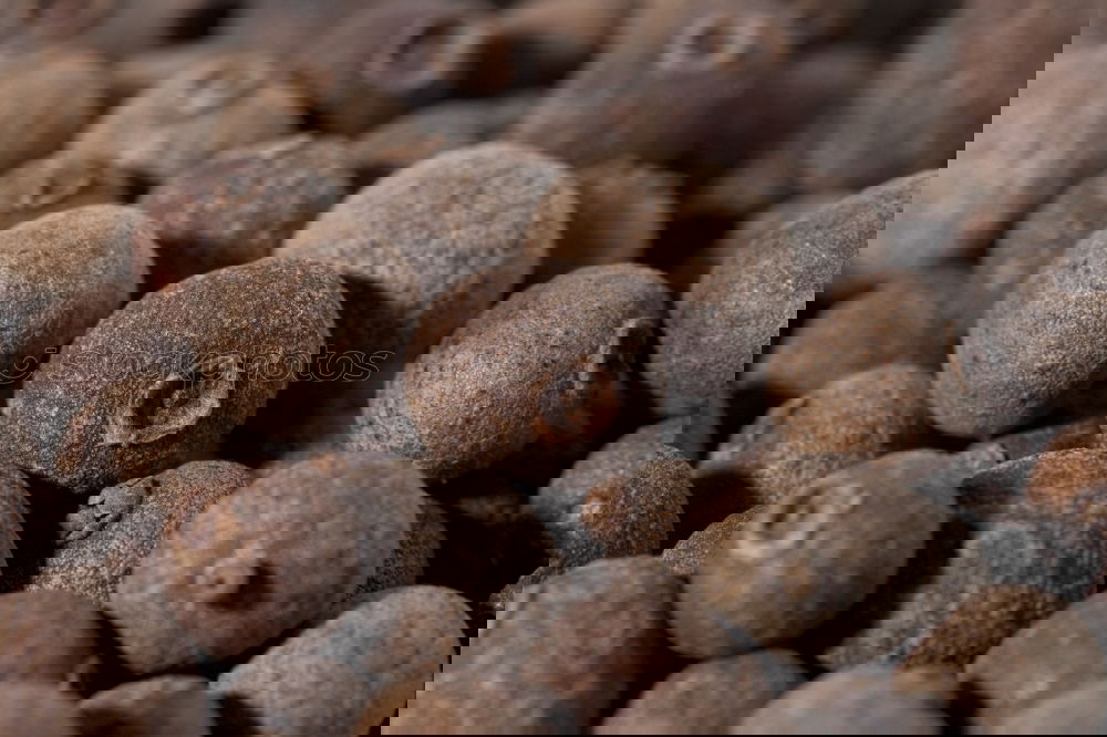 Similar – Image, Stock Photo Macro shot Black peppercorns on a wooden spoon
