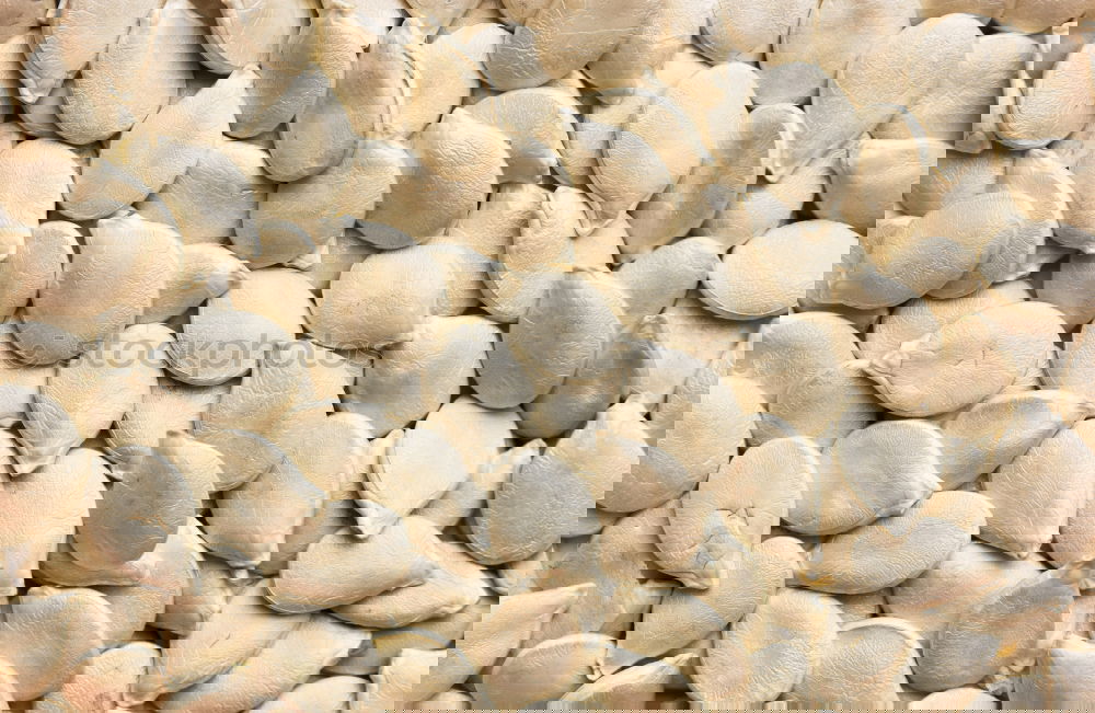 Similar – Image, Stock Photo snail shells