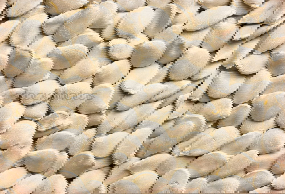 Similar – Image, Stock Photo snail shells