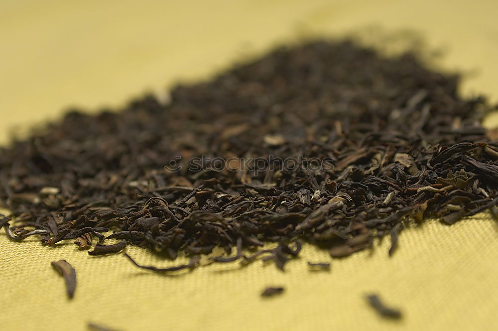 Similar – teatime Dried Dry Blossom