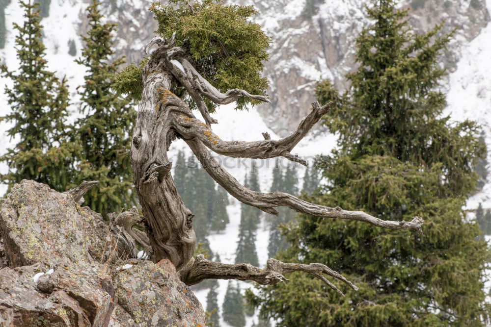 Similar – Yosemite National Park