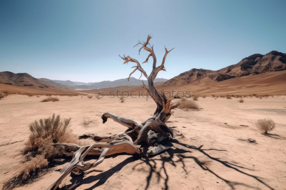 Similar – Image, Stock Photo Deadvlei (Namibia)