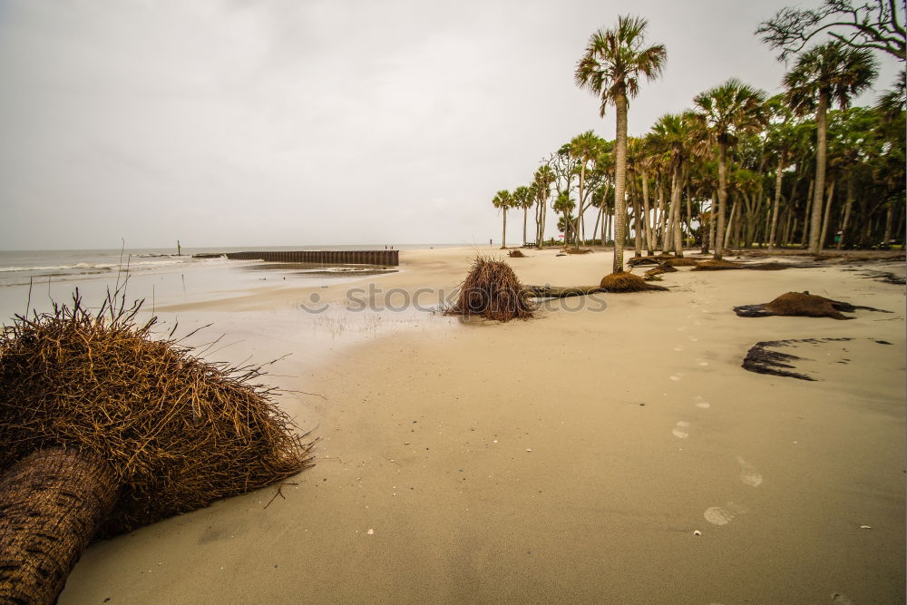 Image, Stock Photo Santa Barbara Beach