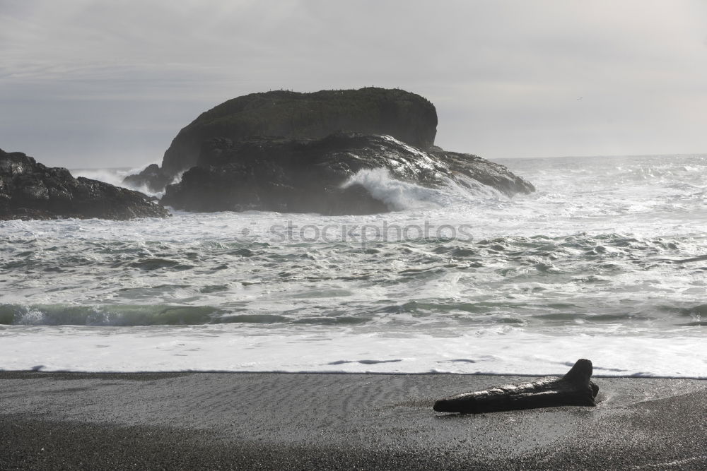 Similar – Image, Stock Photo Oregon Coast