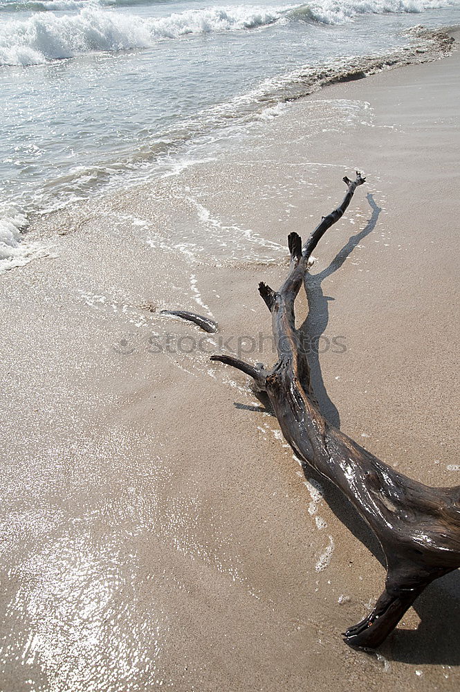 frau am strand Strand Frau