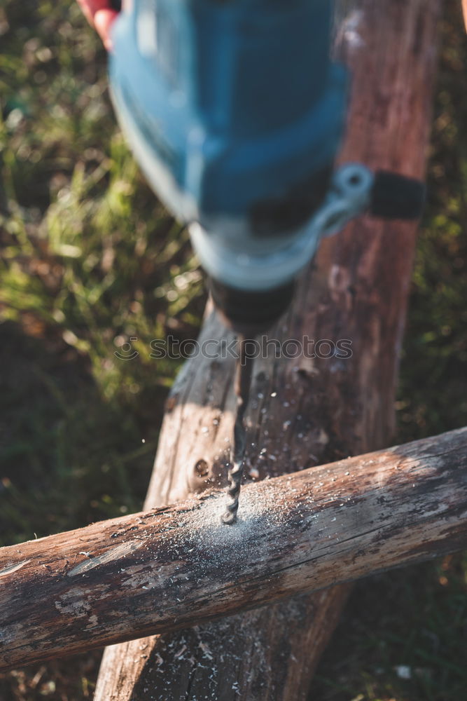 Similar – Image, Stock Photo Children playing on logs